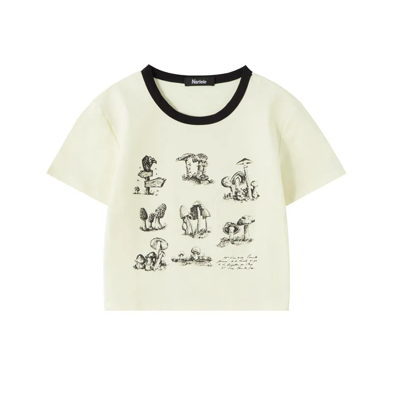 Summer Basic T-Shirts
